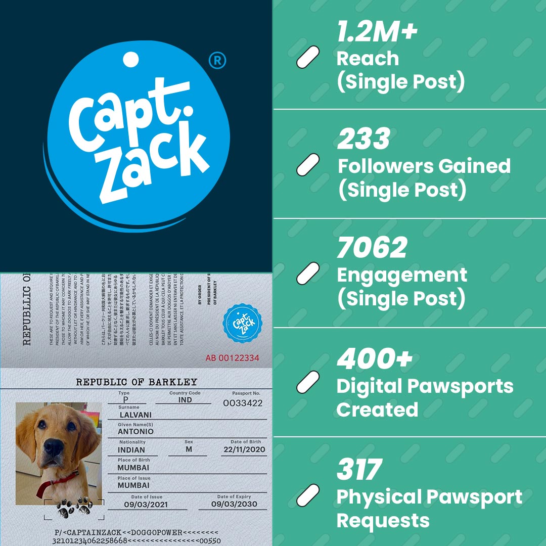 CZ Pawsport social media campaign results