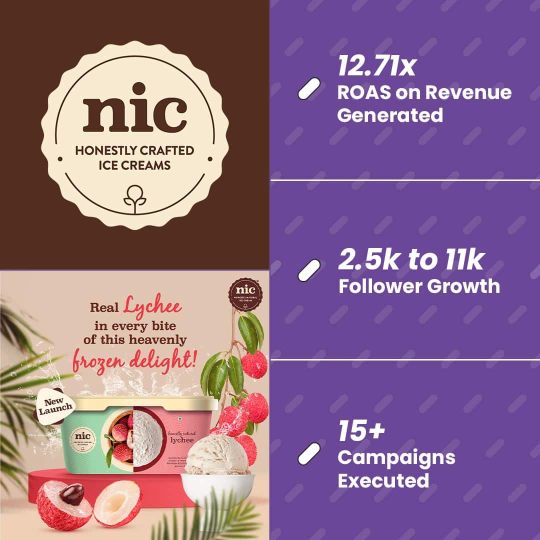 CZ Pawsport social media campaign results